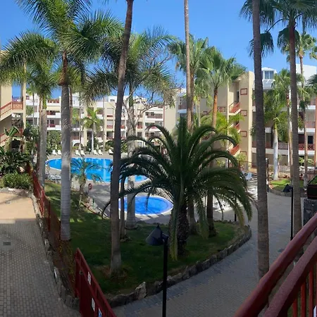 El Bohemia بالم مار