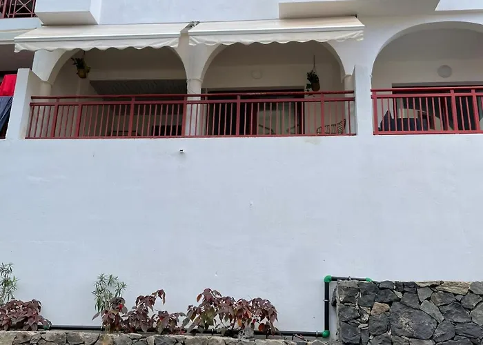 El Bohemia * Palm-mar