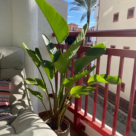 El Bohemia Tenerife Zuid Rust En 3 Zwembaden *